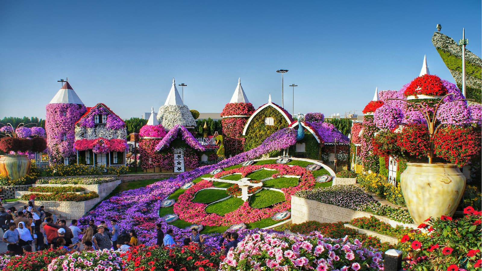 Dubai-miracle-garden 