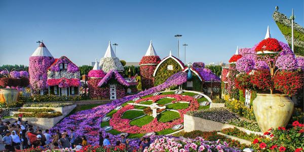 Dubai-miracle-garden 