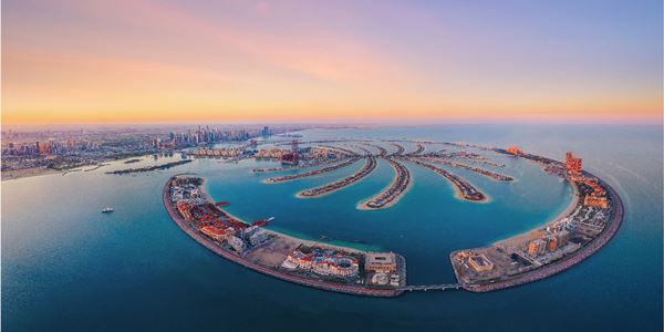 Palm-tree-dubai 