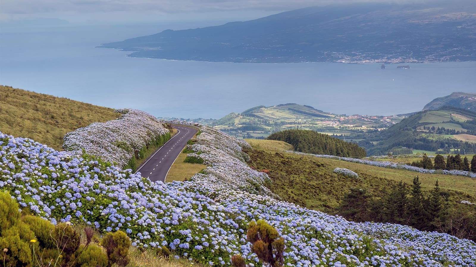Estrada-Faial 