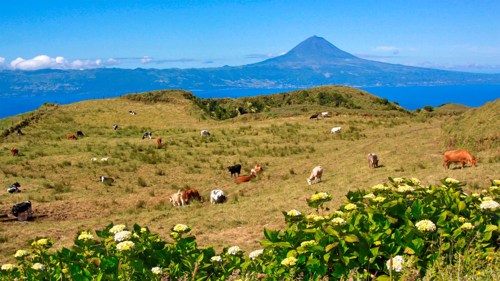 Vista-Ilha-do-Pico 