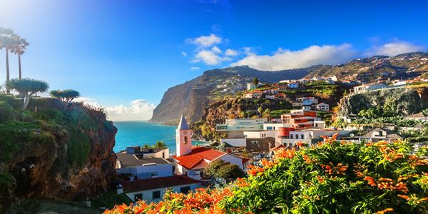 Câmara-de-lobos-madeira 