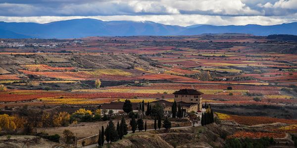 La Rioja e Penedès – Do Vinho ao Cava Espanhol