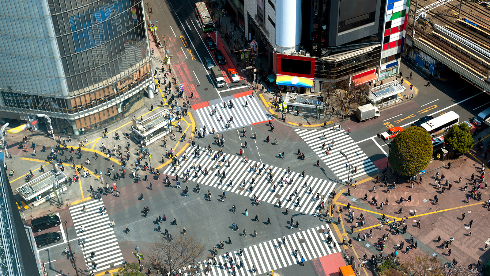Shibuya-Crossing 